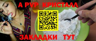 тгк Кингисепп