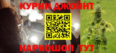 тгк Кингисепп
