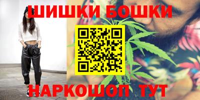 тгк Кингисепп