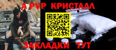 тгк Кингисепп