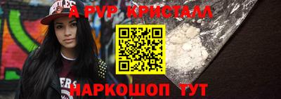 тгк Кингисепп