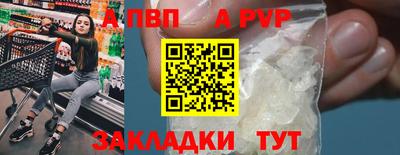 тгк Кингисепп