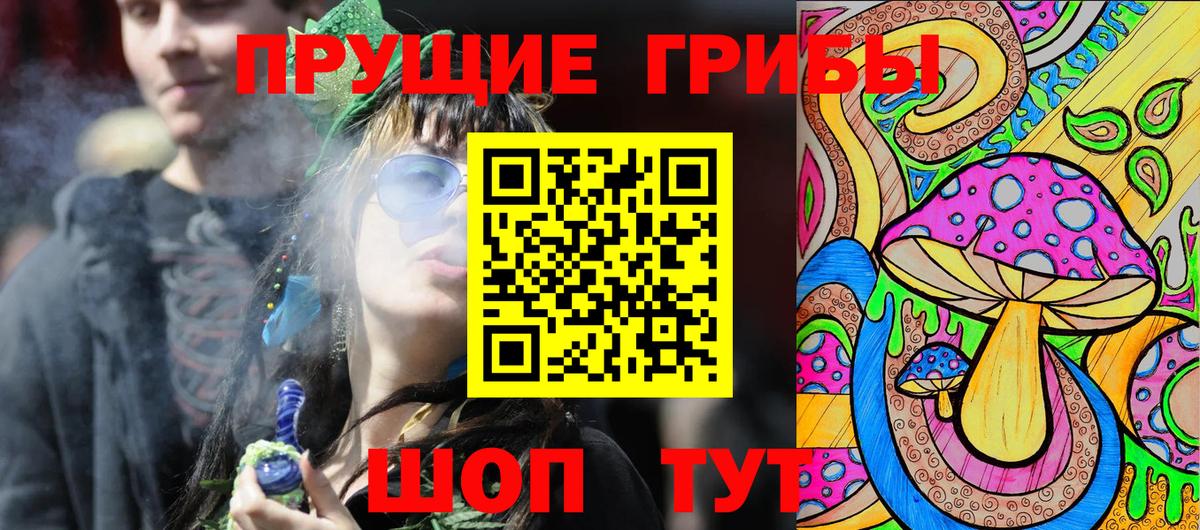 Коммунар  Галлюциногенные грибы Psilocybine cubensis  Вход с VPN 